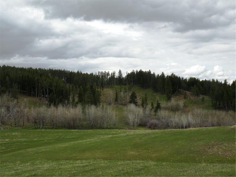 820 acres in Fergus County, Montana